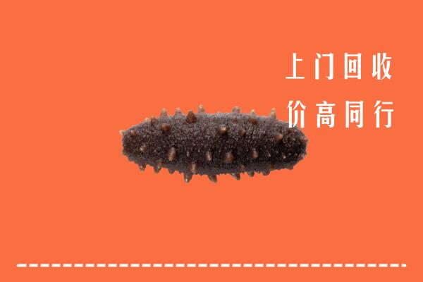 高价求购：南昌进贤县回收海参